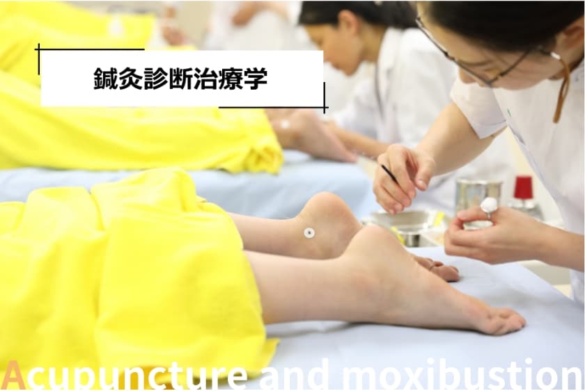 鍼灸診断治療学の授業風景。鍼灸学生が足への施術を実践し、臨床力を身につける実習の様子。