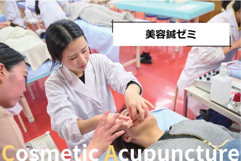 美容鍼ゼミの実習風景。美容鍼灸の知識と技術を学ぶ学生が、顔への鍼施術を実践している場面。