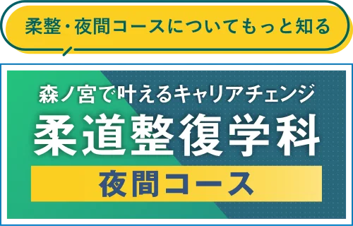 柔整・夜間コースについてもっと知る。森ノ宮で叶えるキャリアチェンジ。柔道整復学科夜間コース
