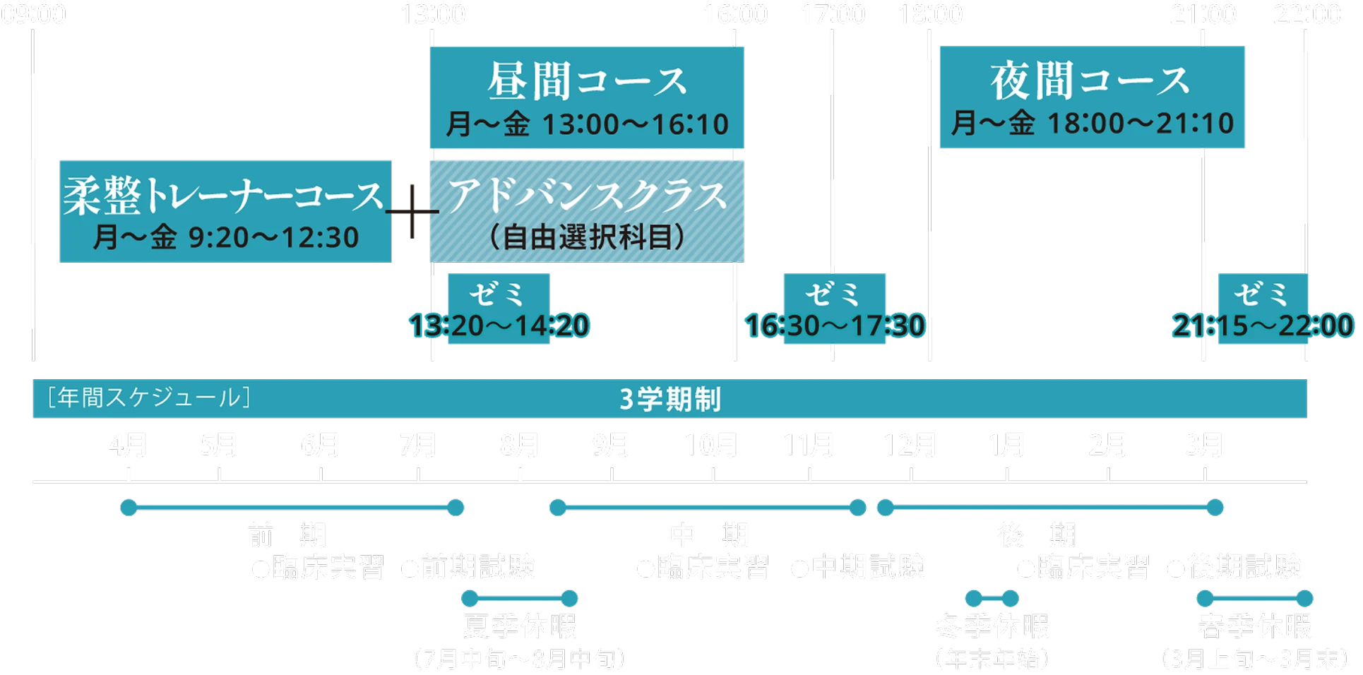 昼間コース 月〜金 13時00分〜16時10分、夜間コース 月〜金 18時00分〜21時10分、柔整トレーナーコース 月〜金 9時20分〜12時30分+アドバンスクラス（自由選択科目）、ゼミ 13:20~14:20・16:30~17:30・21:15~22:00、年間スケジュールは3学期制です。前期は4月から7月中旬までとなり、臨床実習・前期試験があります。中期が8月中旬から11月中旬まであり、臨床実習・前期試験があります。後期が11月中旬から3月上旬まであり、臨床実習・後期試験があります。長期休暇は夏季休暇が7月中旬から8月中旬まで、冬季休暇が年末年始、春期休暇が3月上旬から3月末まであります。