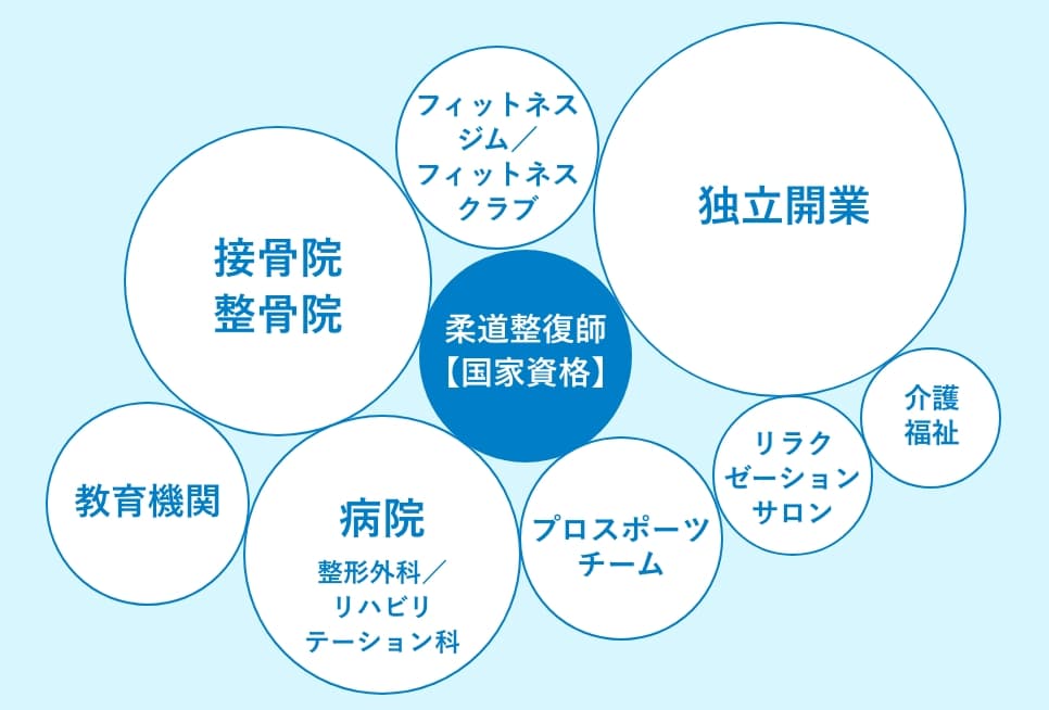 柔道整復師の就職先を示す図。接骨院・整骨院、病院、プロスポーツチーム、独立開業など