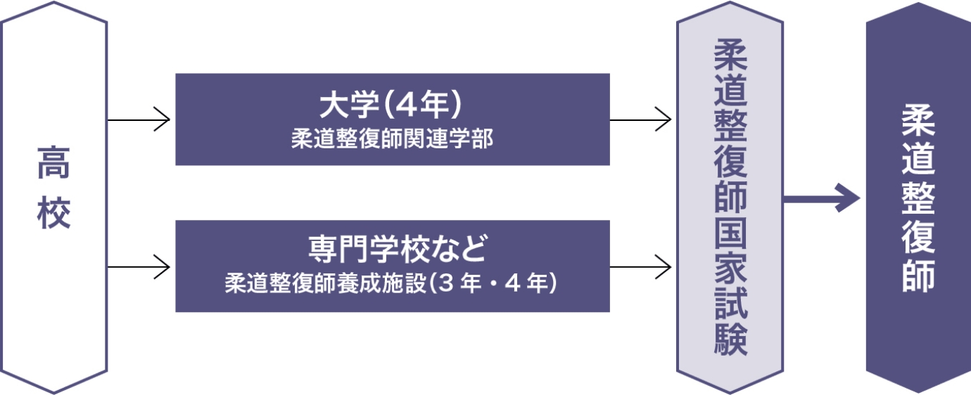 高校卒業後、大学や専門学校で学び柔道整復師国家試験を経て柔道整復師となるまでの進路図